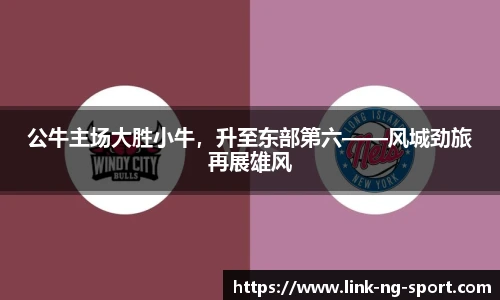 NG体育