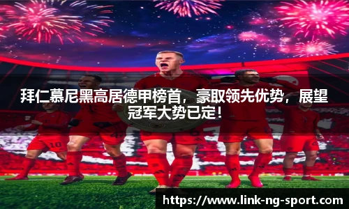 NG体育官网